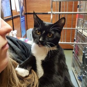 Meet your Posher, Sandy